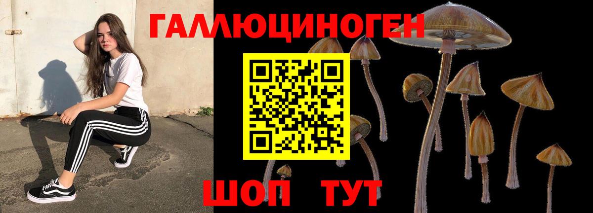 Псилоцибиновые грибы Cubensis  Вход с VPN  Нововоронеж 