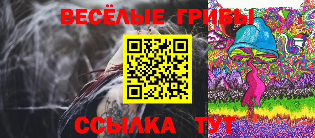Псилоцибиновые грибы MAGIC MUSHROOMS Нововоронеж